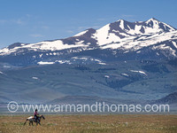 COWBOY, IDAHO