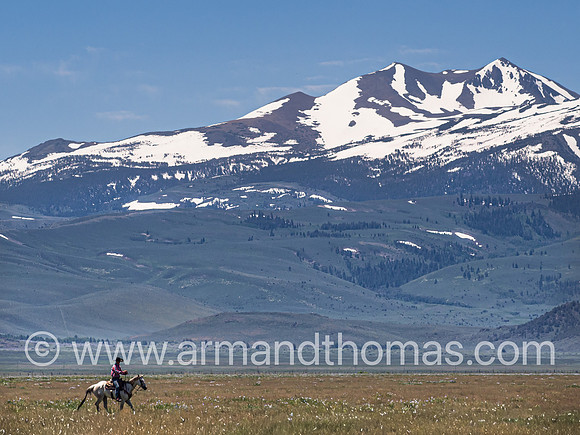COWBOY, IDAHO