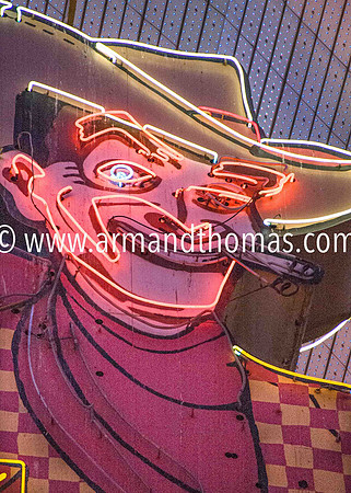 Fremont St Experience
