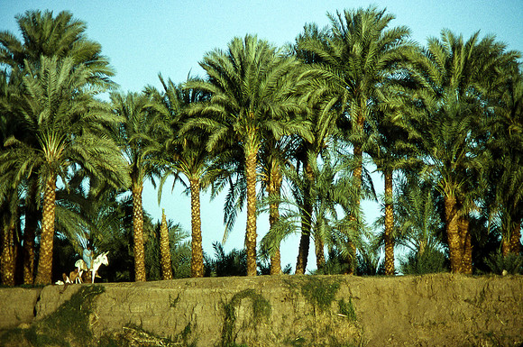 UPPER EGYPT