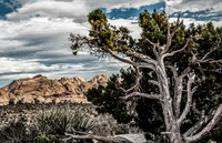 RedRockCanyon
