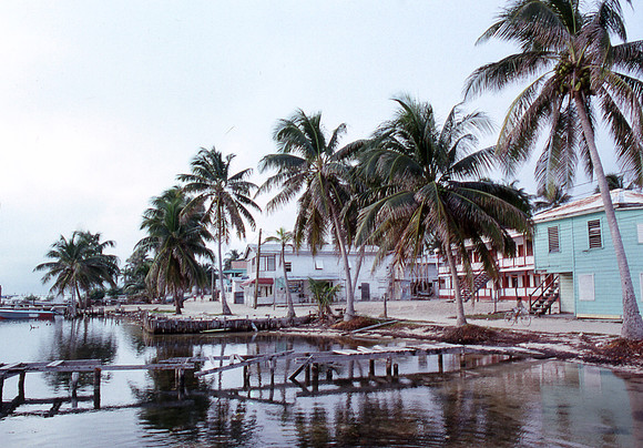 caye caulker