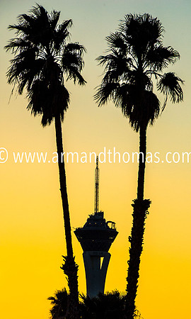 Strat and Palms